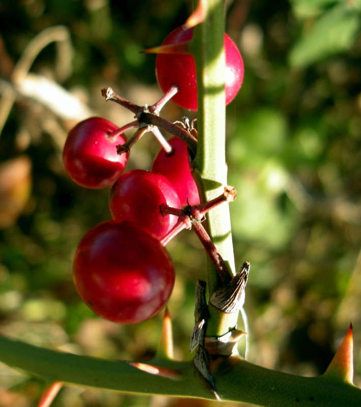 ... ����� ������� �������� �� PhotoGeek.ru #������ ��� ������� #����� ��������������