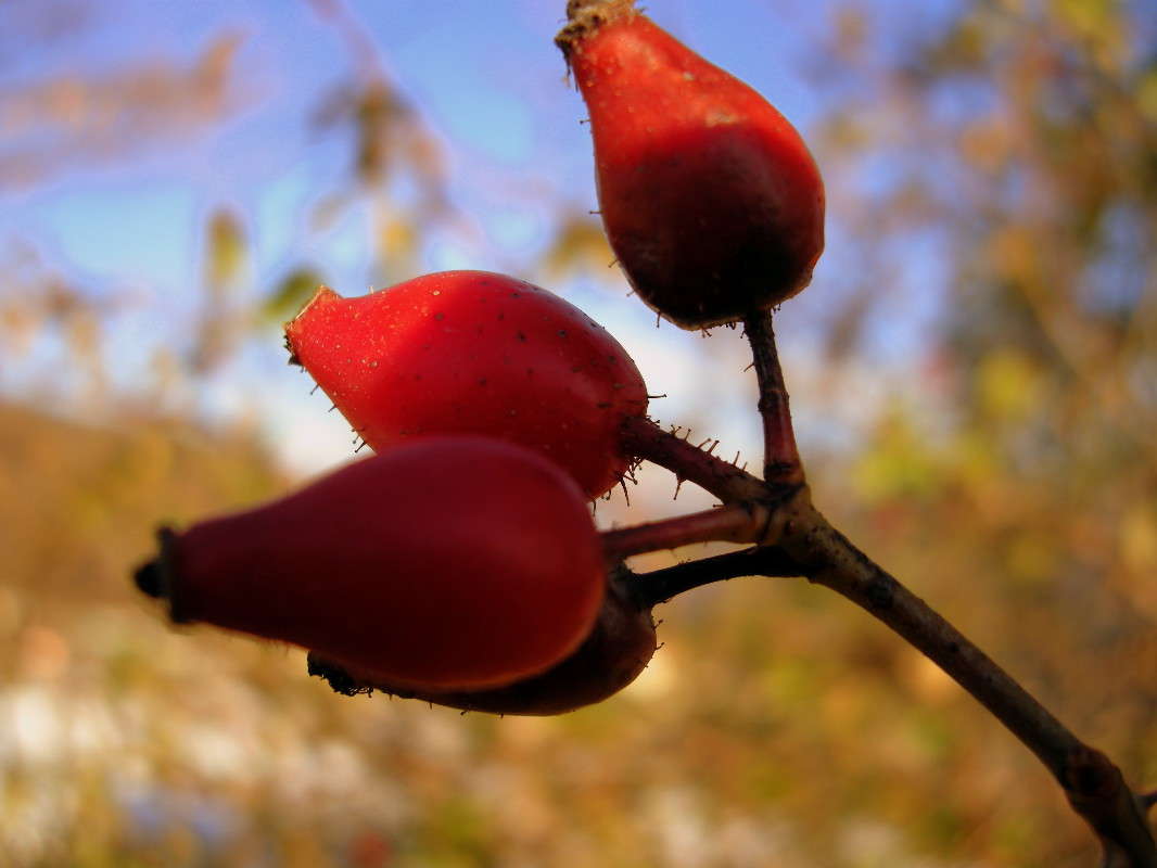 �������� ����� ������� �������� �� PhotoGeek.ru #������ ��� ������� #����� ��������������