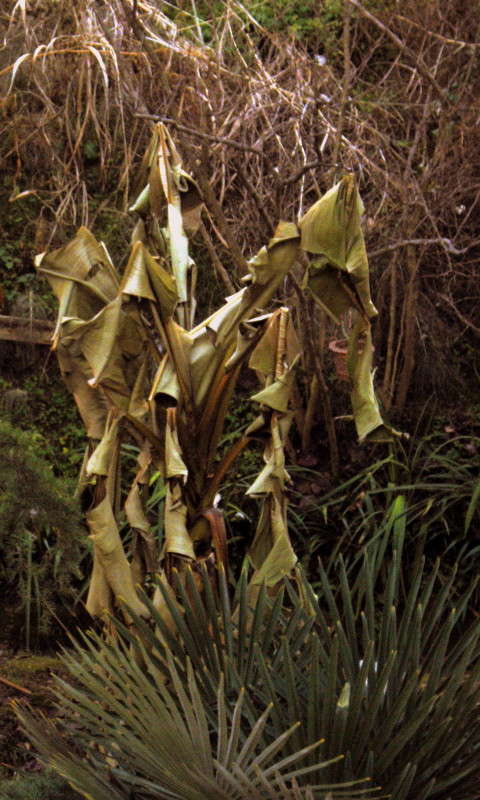 ������ ������ ����� ������� �������� �� PhotoGeek.ru #������ ��� ������� #����� ��������������