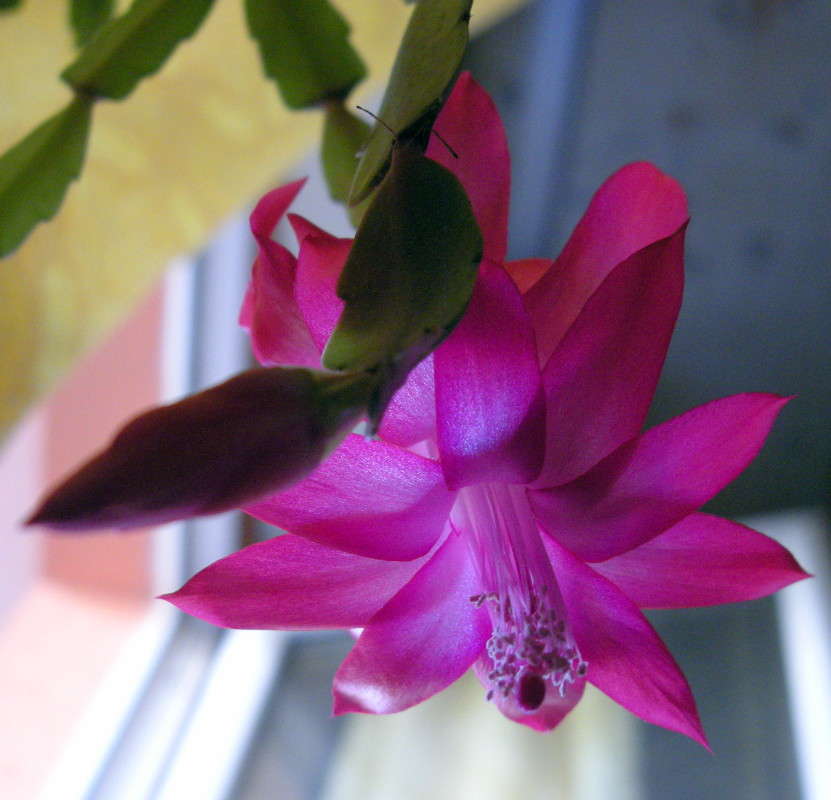 �������� ����� ������� �������� �� PhotoGeek.ru #����� ��������������