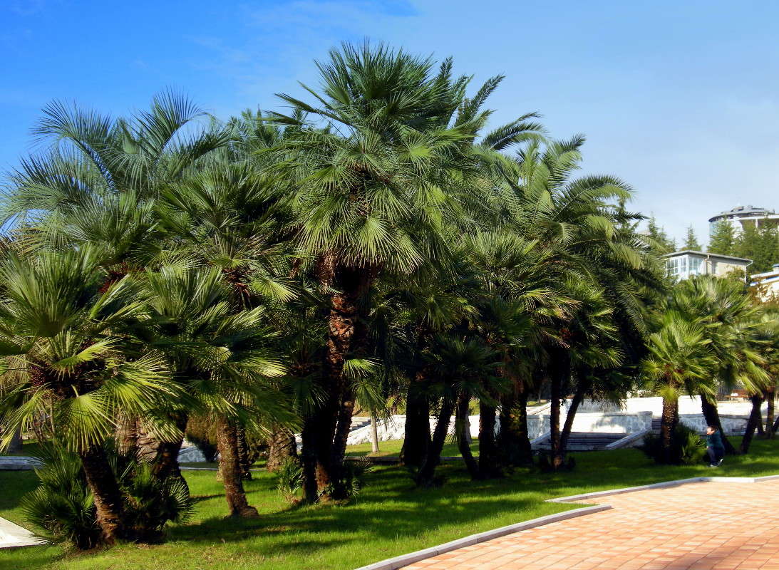 ... ����� ������� �������� �� PhotoGeek.ru #����� #��������� ������