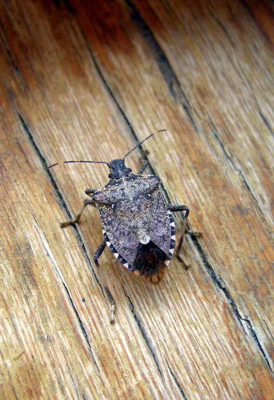 ������� ����� ������� �������� �� PhotoGeek.ru #������ ��� ������� #���������