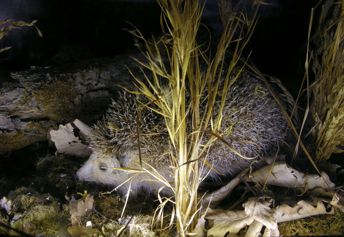 ��� �� ����-��� ����!) ����� ������� �������� �� PhotoGeek.ru #�������� ��� #������ ��� �������