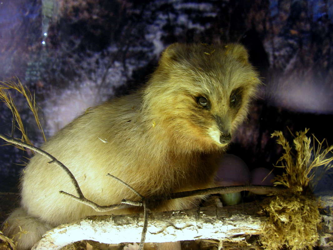 ... ����� ������� �������� �� PhotoGeek.ru #�������� ���