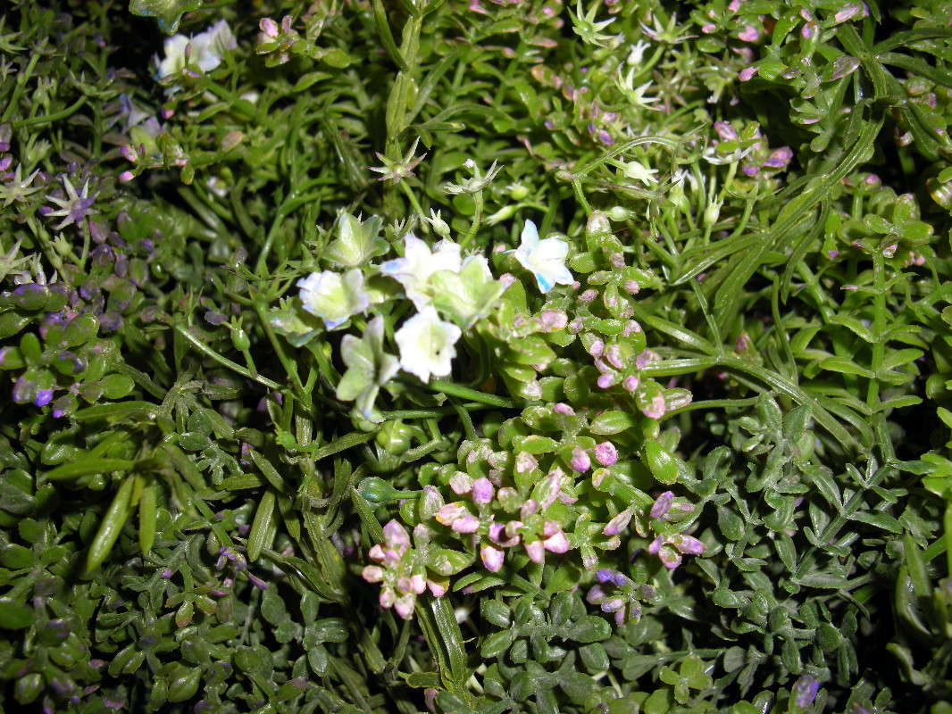 ... ����� ������� �������� �� PhotoGeek.ru #������ ��� ������� #����� ��������������