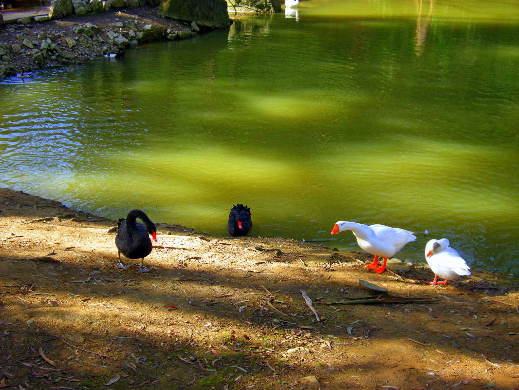 ��� �� ������? ����� ������� �������� �� PhotoGeek.ru #�������� ���