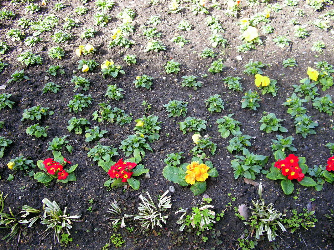 ������ ����� ������� �������� �� PhotoGeek.ru #������ ��� ������� #����� ��������������