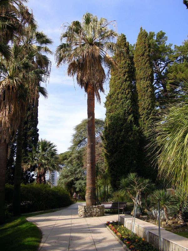 �������� ������ ����� ������� �������� �� PhotoGeek.ru #������ ��� ������� #����� ��������������