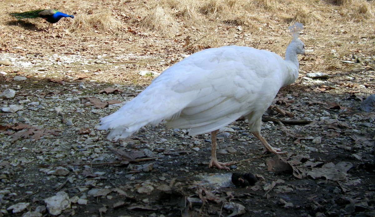 ... ����� ������� �������� �� PhotoGeek.ru #�������� ��� #������ ��� �������