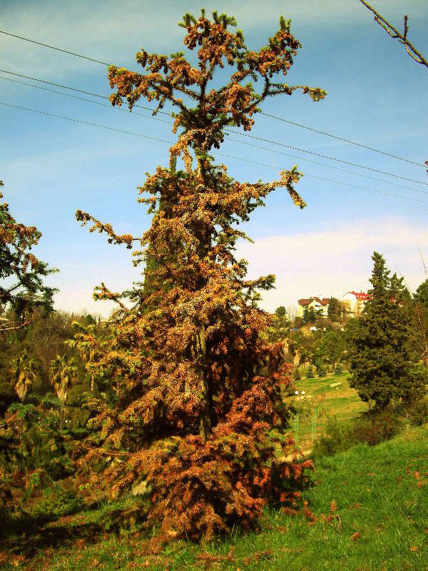 ... ����� ������� �������� �� PhotoGeek.ru #����� #������ ��� �������