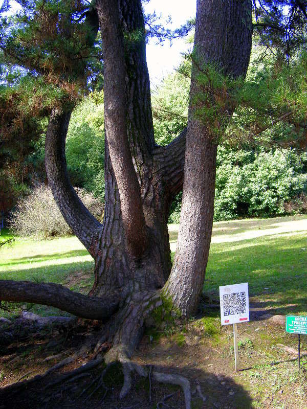 ... ����� ������� �������� �� PhotoGeek.ru #������ ��� ������� #����� ��������������