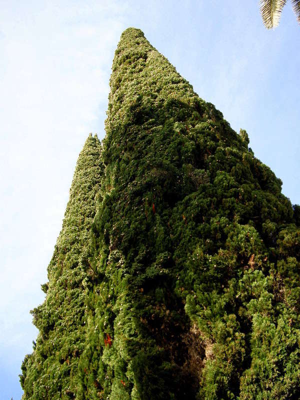 ����� ����� ������� �������� �� PhotoGeek.ru #������ ��� ������� #����� ��������������