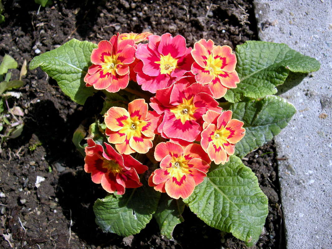 ... ����� ������� �������� �� PhotoGeek.ru #������ ��� ������� #����� ��������������