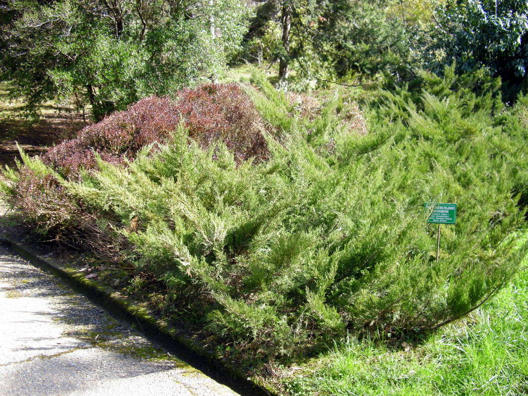 ... ����� ������� �������� �� PhotoGeek.ru #������ ��� �������