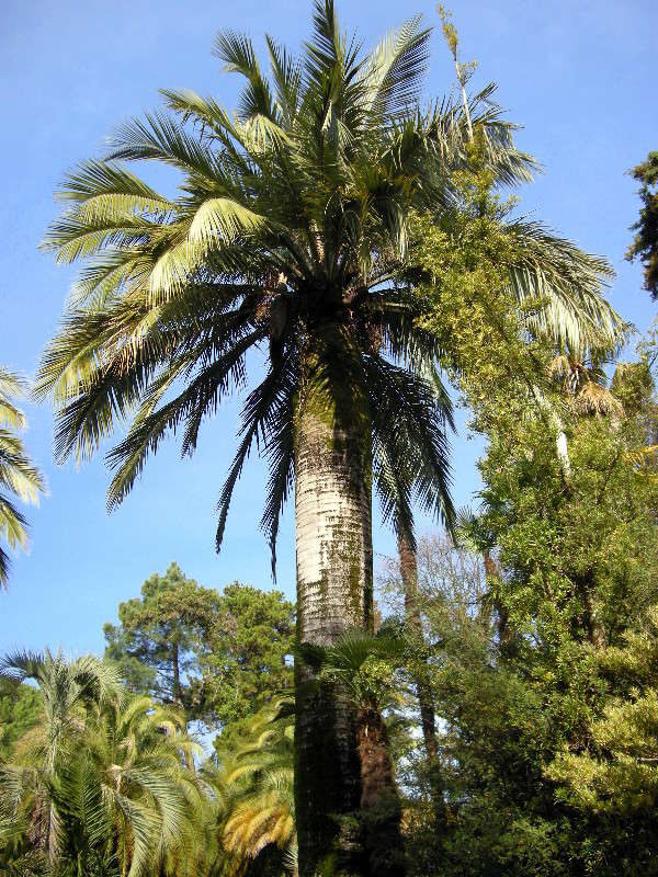 ... ����� ������� �������� �� PhotoGeek.ru #������ ��� ������� #����� ��������������