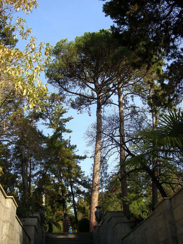 ... ����� ������� �������� �� PhotoGeek.ru #������ ��� ������� #����� ��������������