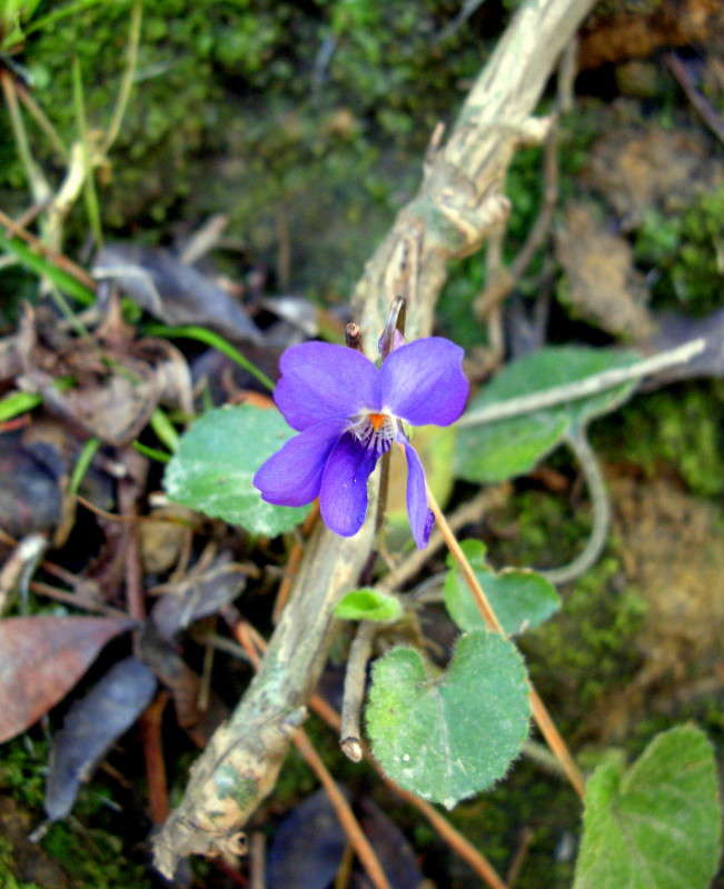 ... ����� ������� �������� �� PhotoGeek.ru #������ ��� ������� #����� ��������������