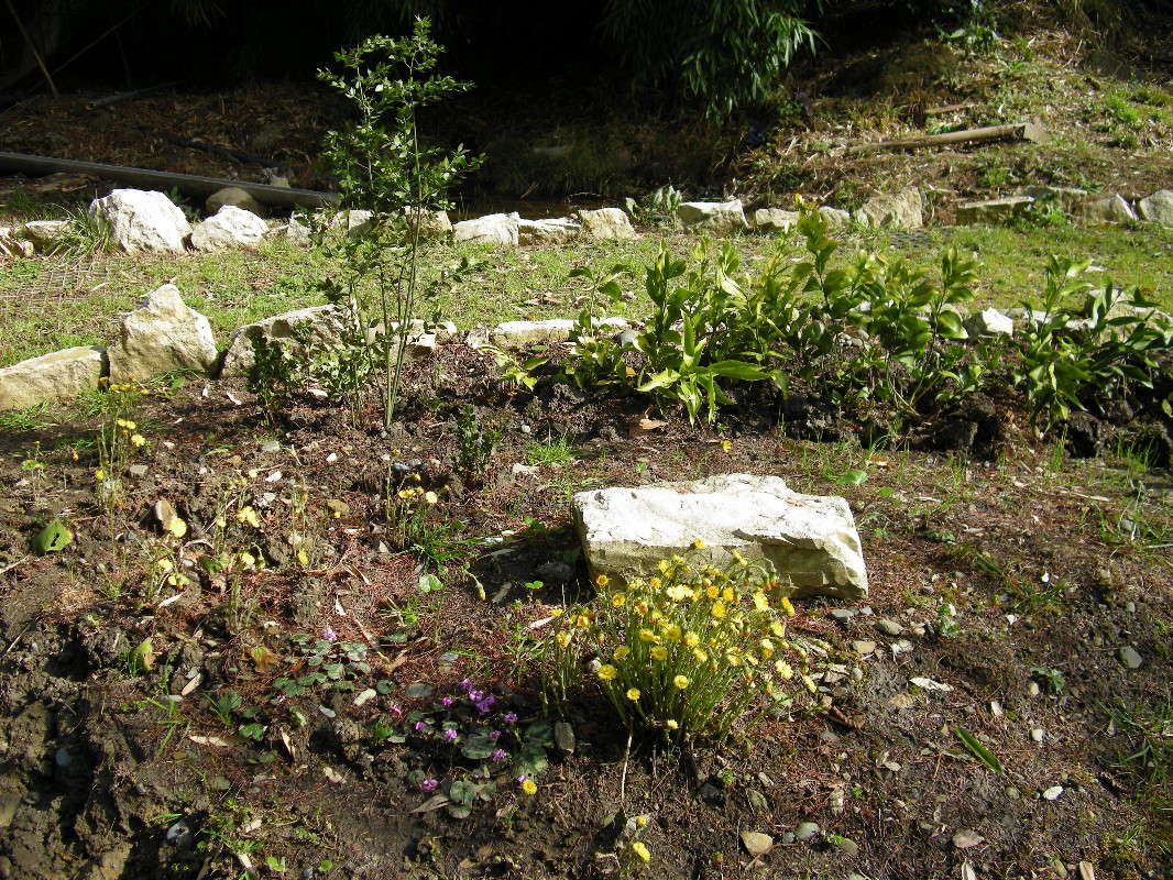 ... ����� ������� �������� �� PhotoGeek.ru #������ ��� ������� #����� ��������������