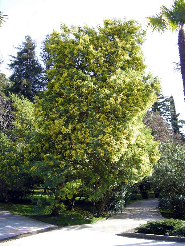 ������ ����� ������� �������� �� PhotoGeek.ru #������ ��� ������� #����� ��������������