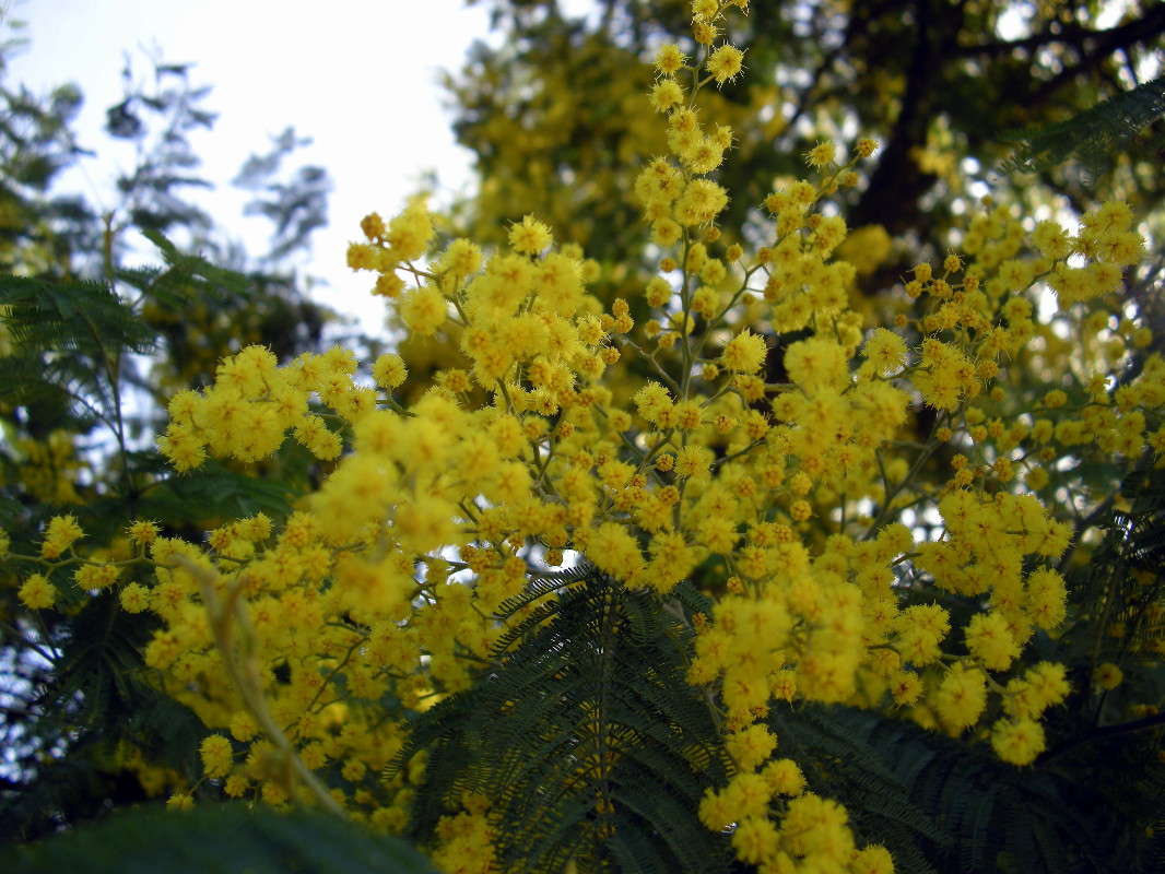 ������ ������ ����� ������� �������� �� PhotoGeek.ru #������ ��� ������� #����� ��������������