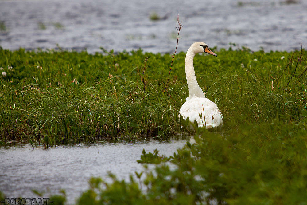 ������������ � ������������... ����� ������ ������� �� PhotoGeek.ru #�������� ��� #������ ��� ������� #�������� ���������� #����� ��� ��� ��������� #����� �������������� #����� ��������