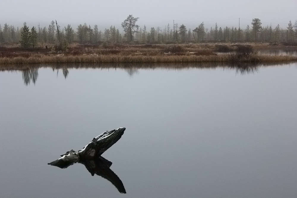 � ��� �������� �������.. ����� ������ ������� �� PhotoGeek.ru #������ ��� ������� #����� �������������� #������ #����� ��������