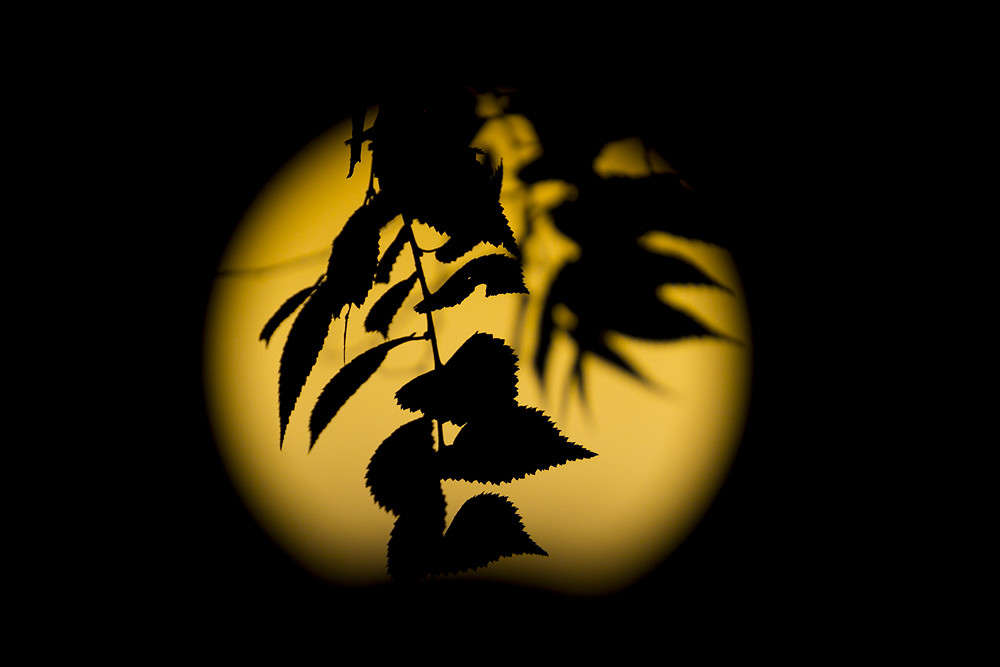 ������ ����� ������ ������� �� PhotoGeek.ru #������ ��� ������� #�������� ���������� #������������