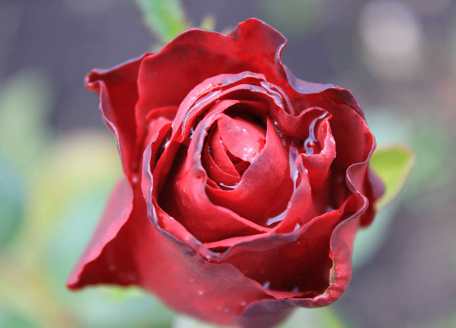 ����� ����� ����� ������ ������� �� PhotoGeek.ru #������ ��� ������� #�������� ���������� #����� �������������� #����