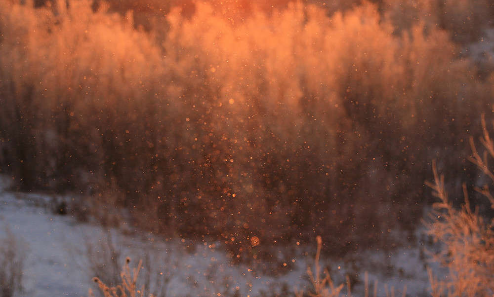 ������� ���� � ����� �������� ����� ������ ������� �� PhotoGeek.ru #������ ��� ������� #�������� ���������� #������������ #����