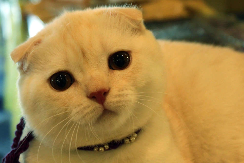 �������������... ����� ������ ������� �� PhotoGeek.ru #�������� ��� #�������� #������ #���