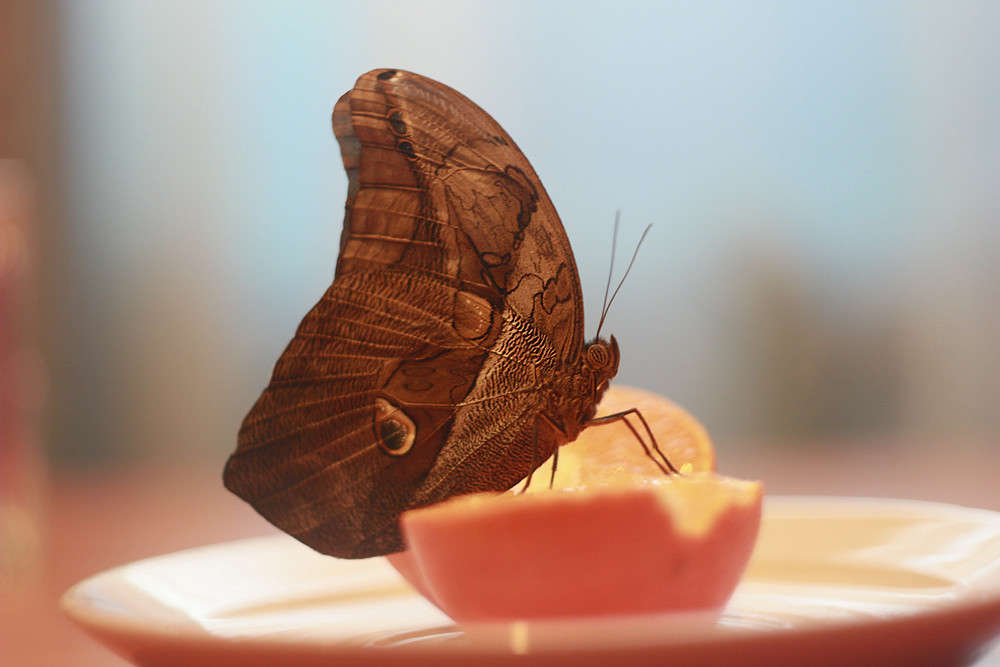 � �������! ����� ������ ������� �� PhotoGeek.ru #�������� ��� #������� #����� ��� ��� ��������� #�������� ���