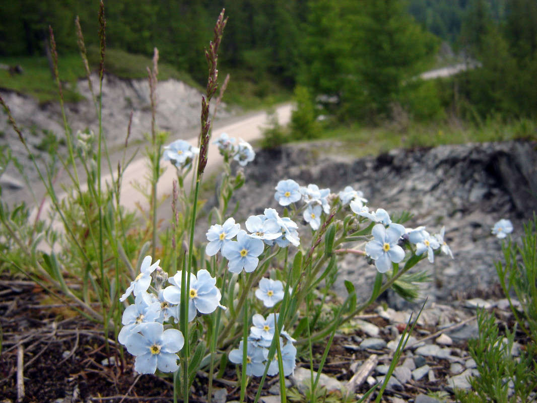 �������� ����� �������� ����������� �� PhotoGeek.ru #������ ��� ������� #���������