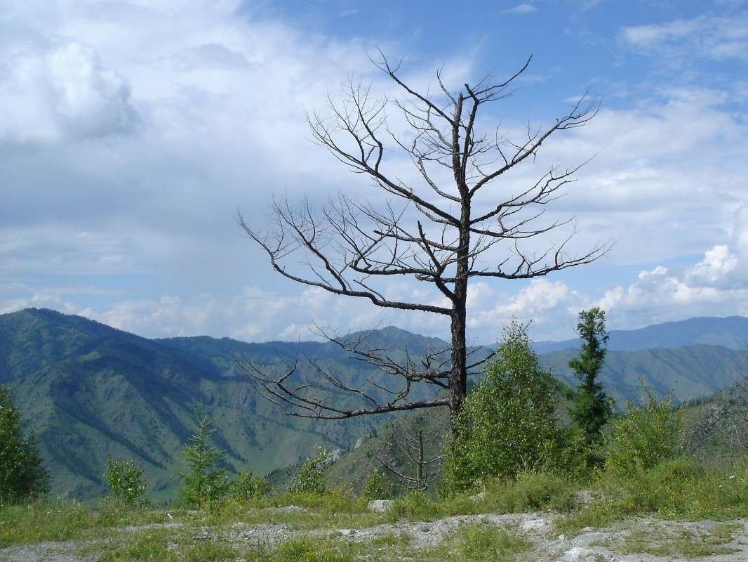 ��������... ����� �������� ����������� �� PhotoGeek.ru #������ ��� ������� #���������