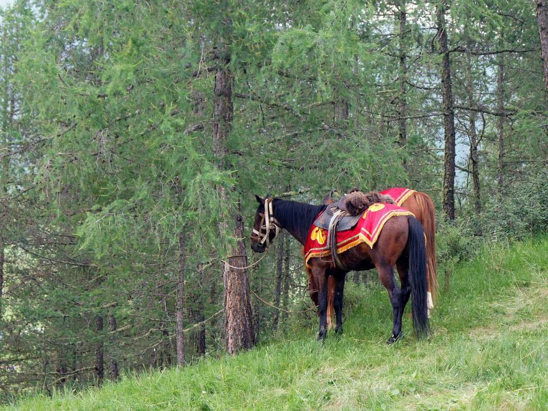 ��������� ����� �������� ����������� �� PhotoGeek.ru #�������� ��� #������ ��� �������