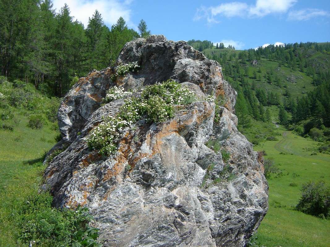 �������� ������ ����� �������� ����������� �� PhotoGeek.ru #������ ��� �������