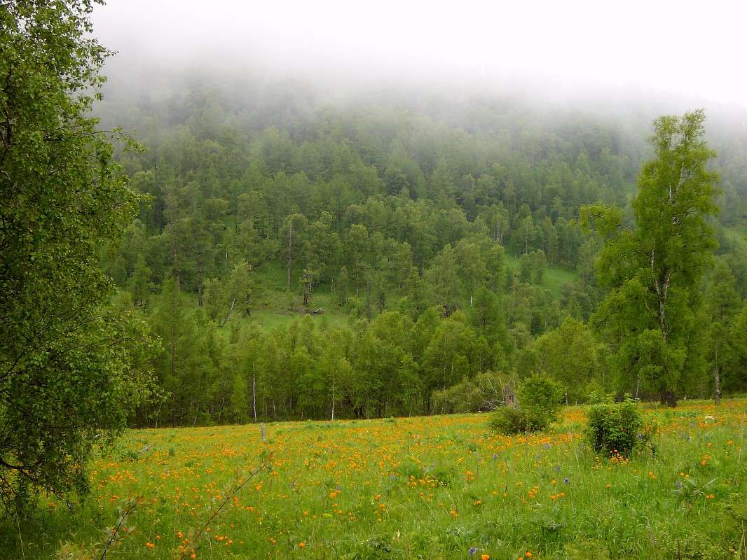 ���� � ��������� ����� �������� ����������� �� PhotoGeek.ru #������ ��� �������