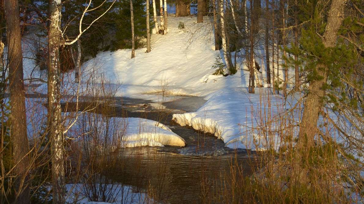 ... ����� �������� ����������� �� PhotoGeek.ru #������ ��� �������