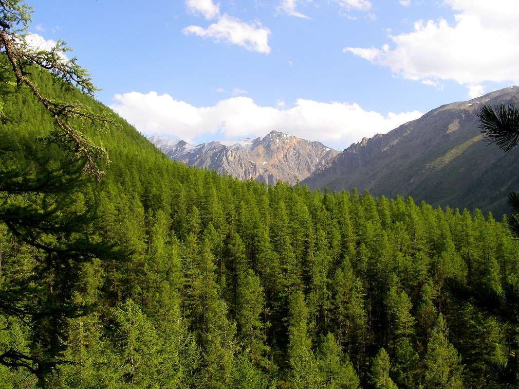 ... ����� �������� ����������� �� PhotoGeek.ru #������ ��� ������� #���������