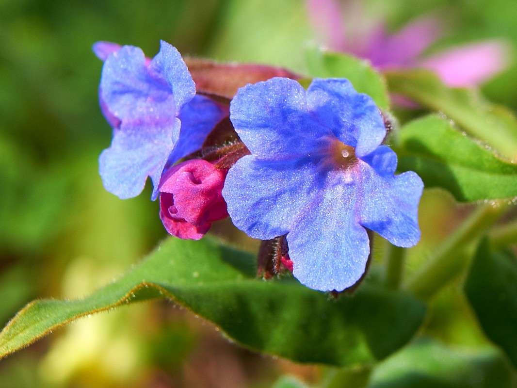 �������� ����� �������� ����������� �� PhotoGeek.ru #������ ��� ������� #����� ��������������