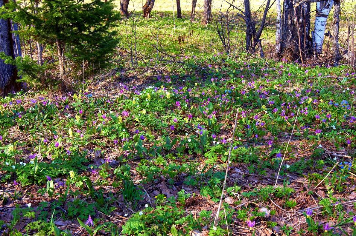 ... ����� �������� ����������� �� PhotoGeek.ru #������ ��� ������� #����� ��������������