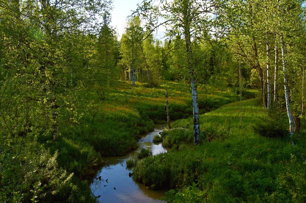 ����� � ����� ����� �������� ����������� �� PhotoGeek.ru #������ ��� �������