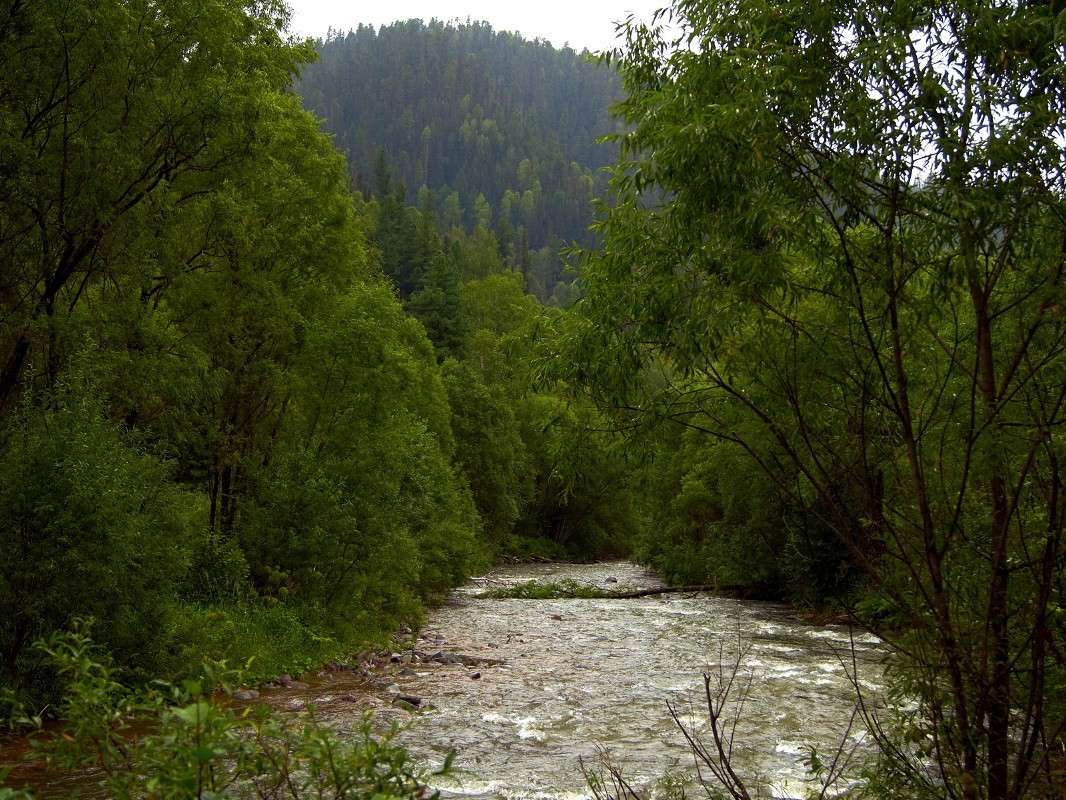 � �����... ����� �������� ����������� �� PhotoGeek.ru #������ ��� �������