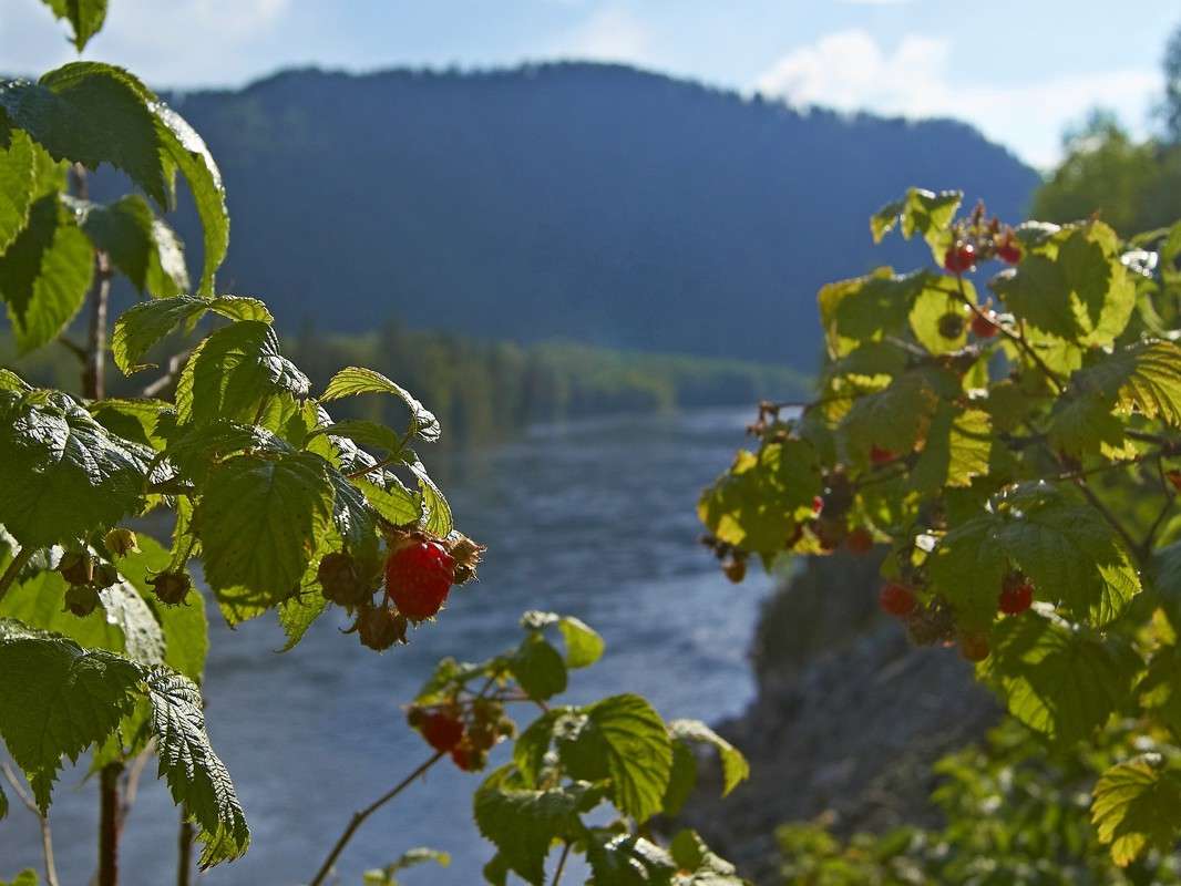 ������ ��� ������� ����� �������� ����������� �� PhotoGeek.ru #������ ��� ������� #���������