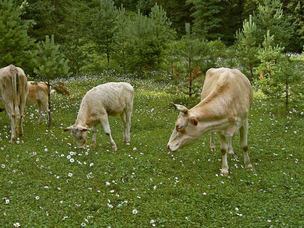 �������... ����� �������� ����������� �� PhotoGeek.ru #�������� ��� #������ ��� �������