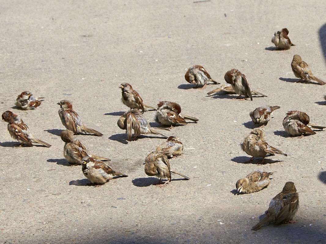 ������ ���� ����� �������� ����������� �� PhotoGeek.ru #����� #�������� ���