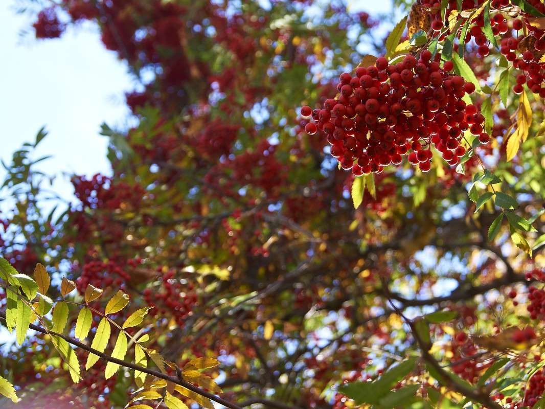 ... ����� �������� ����������� �� PhotoGeek.ru #������ ��� ������� #����� ��������������