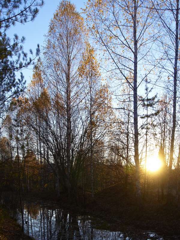 ����� �� ������ ����� �������� ����������� �� PhotoGeek.ru #������ ��� �������