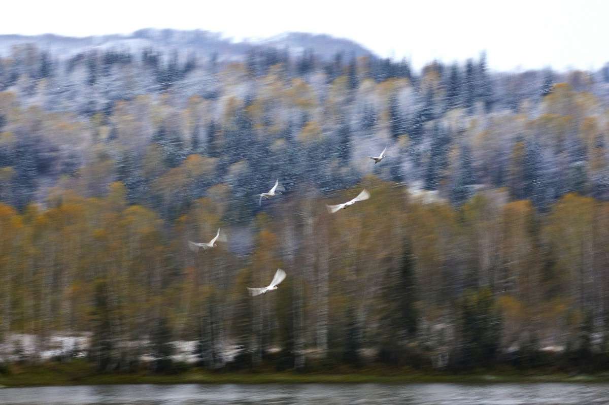 ���, ��� ���� ������... ����� �������� ����������� �� PhotoGeek.ru #�������� ����������