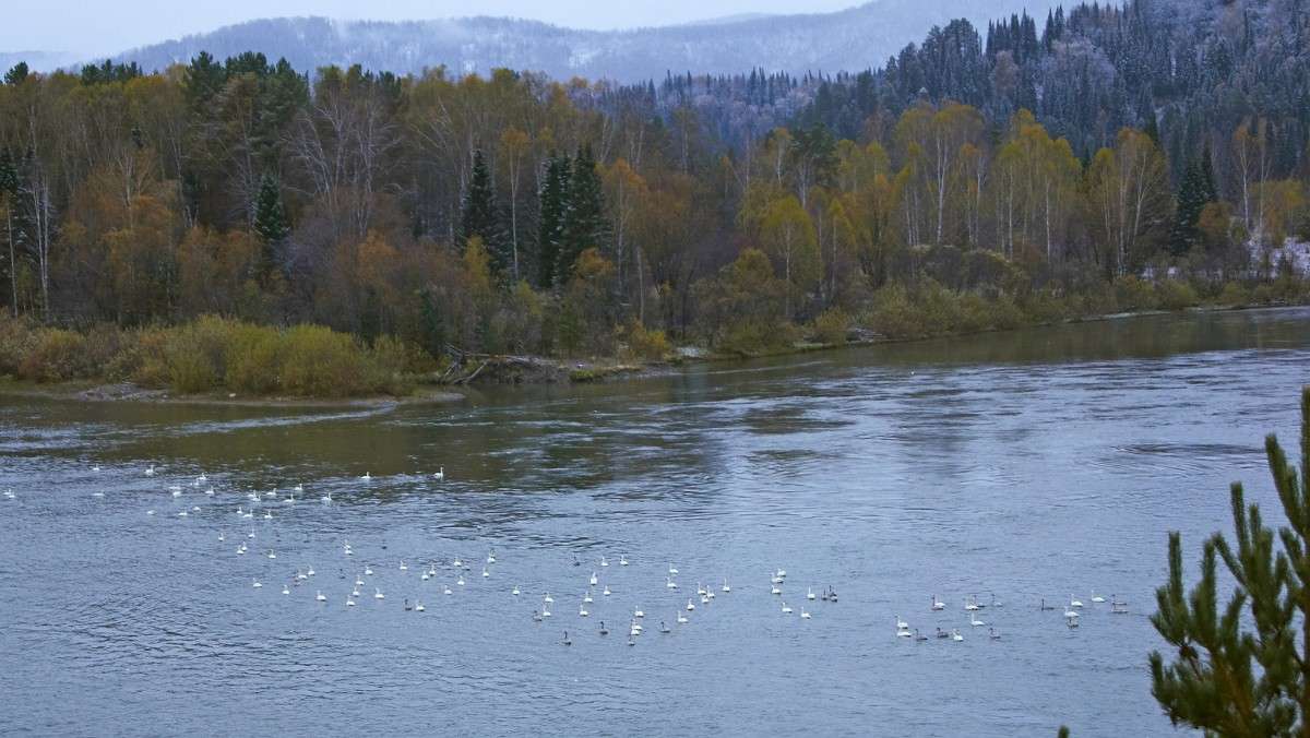 ������������� ������� ����� �������� ����������� �� PhotoGeek.ru #������ ��� �������