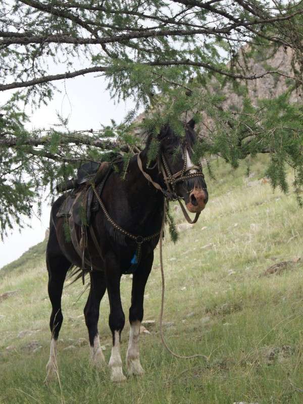 ... ����� �������� ����������� �� PhotoGeek.ru #�������� ���